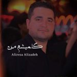 دانلود آهنگ علیرضا علیزاده گلمیشم من