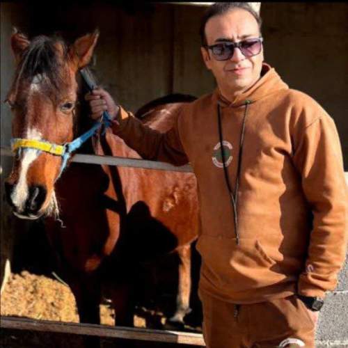 دانلود آهنگ محمد هادی عبادتی گل باغ شیراز