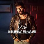 دانلود آهنگ محمد محرمی دیدی دانلود آهنگ محمد محرمی دیدی