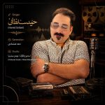 دانلود آهنگ حمید سلطانی دهه هشتادی