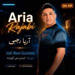 دانلود آهنگ آریا رجبی ایندی منی گوزلمه