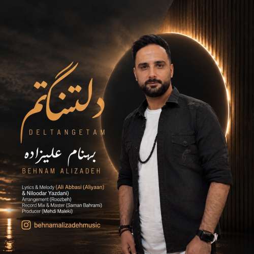 دانلود آهنگ بهنام علیزاده دلتنگتم